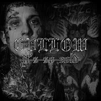 Gvllow — It's So Cold — обложка